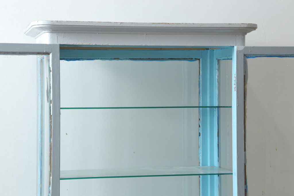 和製アンティーク　レトロな雰囲気溢れる四面ガラスの幅狭ケビントガラスケース(ショーケース、デンタルケース、デンタルキャビネット、陳列棚、飾り棚、収納棚、戸棚、店舗什器)(R-074271)