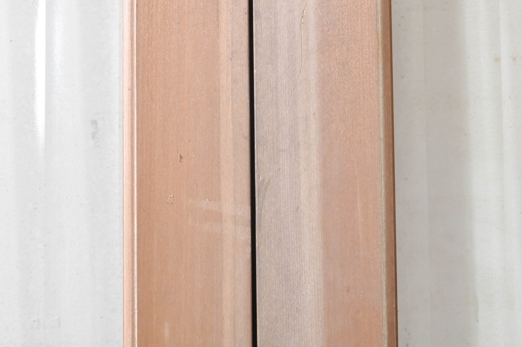 アンティーク建具　上手物!!!　腰板一枚板　昔懐かしいレトロな雰囲気漂う両開きドア(親子ドア)1対2枚セット (木製扉、玄関ドア)(R-073450)