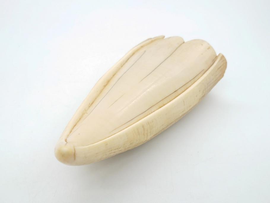歯牙　クジラの歯3本セット(大・中・小)(素材、印材、彫刻材料、根付)(R-062240)