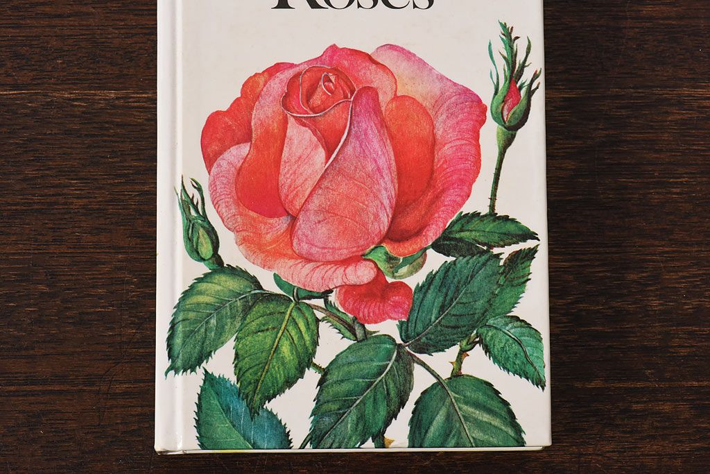 アンティーク雑貨　イギリス　HAMLYN社 A Concise Guide in Colour　Roses　コンパクトハンドブック(洋書、ポケット辞典、本)