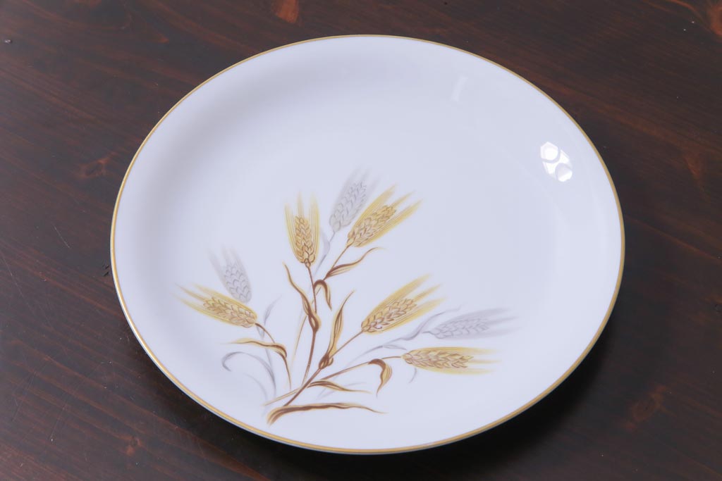 商品のインターネット ✳︎Noritake✳︎ ノリタケ ×20枚 φ21cm