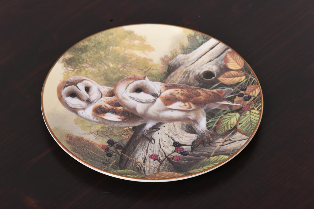 未使用品　ROYAL DOULTON(ロイヤルドルトン)　BRITISH OWLS　プレート(皿、洋食器)(1)